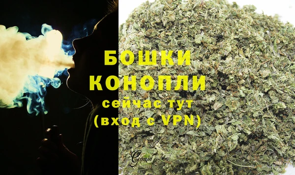 СК Балахна